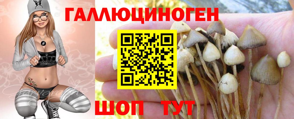 Псилоцибиновые грибы ЛСД Переславль-Залесский